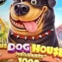Игровой автомат The Dog House 1000 провайдера Pragmatic Play